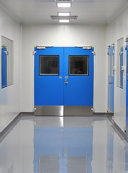 Clean Room Doors